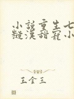 小说重生七零,糙汉甜宠小娇妻阅读