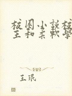 校园小说校霸男主和柔软学霸女主封面