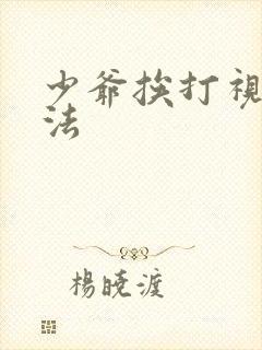 少爷挨打视频家法