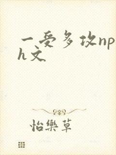一受多攻np黄h文