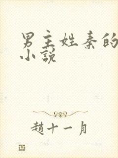 男主姓秦的穿越小说