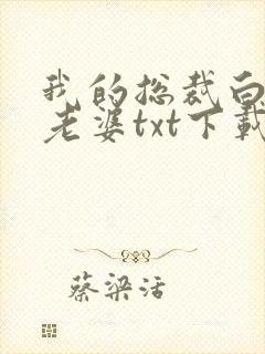 我的总裁白富美老婆txt下载