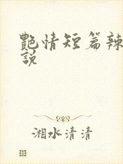 艳情短篇辣文小说