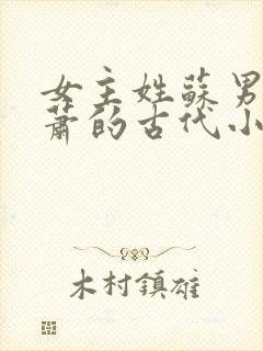 女主姓苏男主姓萧的古代小说