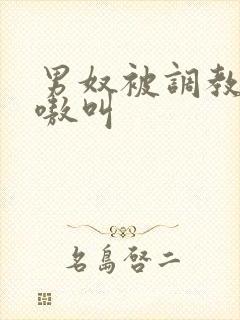 男奴被调教的嗷嗷叫