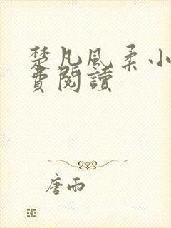 楚凡风柔小说免费阅读