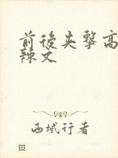 前后夹击高h肉辣文