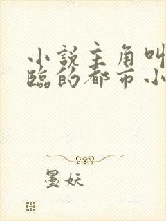 小说主角叫叶君临的都市小说