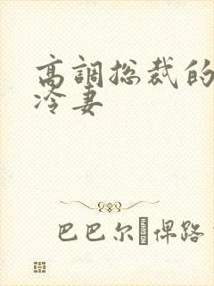 高调总裁的无情冷妻