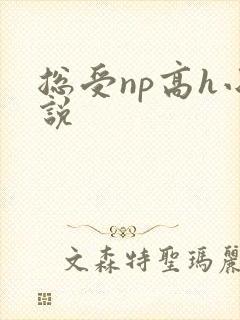 总受np高h小说封面
