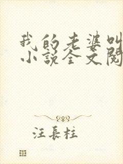 我的老婆叫武艳小说全文阅读