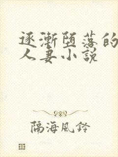 逐渐堕落的绝美人妻小说