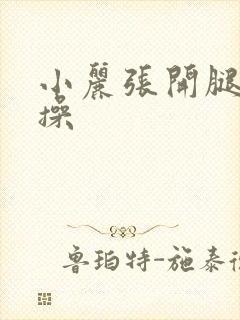 小丽张开腿让我操封面