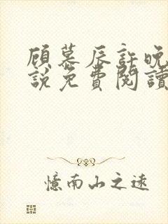 顾慕辰许晚音小说免费阅读最新章节