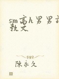 sm高h男男调教文封面