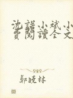 沈诺小斌小说免费阅读全文最新章节