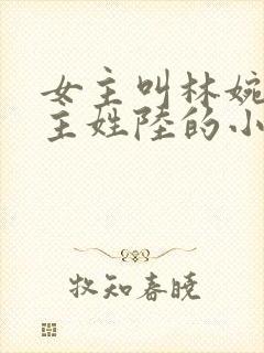 女主叫林婉清男主姓陆的小说