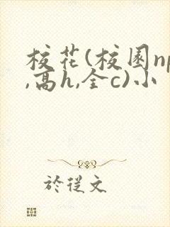 校花(校园np,高h,全c)小