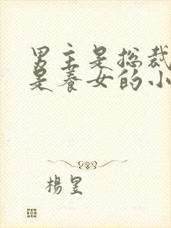 男主是总裁女主是养女的小说