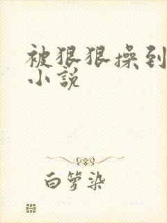 被狠狠操到高潮小说