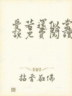 爱若还似当初小说免费阅读