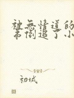 被无情道的小师弟倒追了小说免费阅读