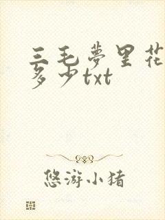 三毛梦里花落知多少txt