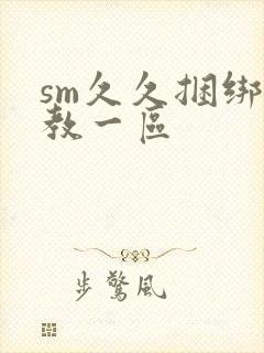 sm久久捆绑调教一区