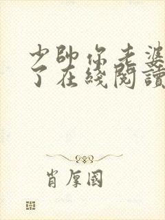 少帅你老婆又跑了在线阅读