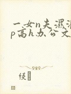 一女n夫湿润np高h办公文