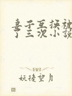 妻子互换被高潮了三次小说