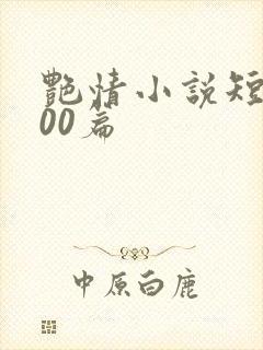 艳情小说短篇500篇封面