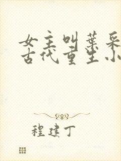 女主叫叶采薇的古代重生小说