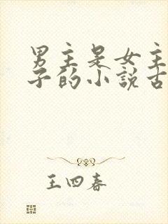 男主是女主小叔子的小说古文封面