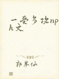 一受多攻np黄h文