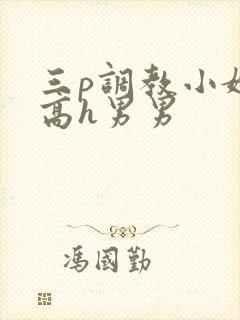 三p调教小嫩苞高h男男