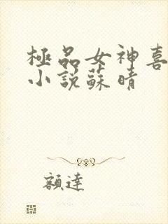 极品女神喜欢我小说苏晴