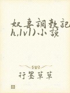 奴妻调教记(高h,1v1)小说