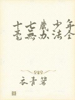 十七岁少年让我毫无办法全文阅读