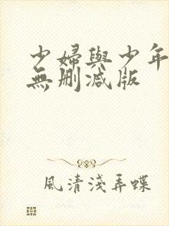少妇与少年小说无删减版