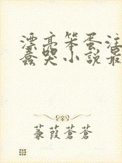 漂亮笨蛋注定被蠢哭小说最新章节列