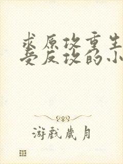 求原攻重生被原受反攻的小说