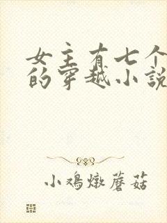 女主有七个夫君的穿越小说