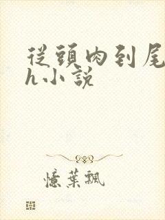 从头肉到尾的高h小说封面