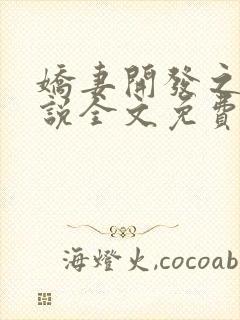 娇妻开发之旅小说全文免费阅读