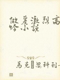 做爰激烈高潮呻吟小说