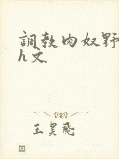 调教肉奴野原琳h文