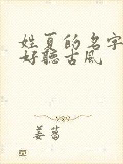 姓夏的名字独特好听古风