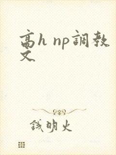 高h np调教文封面