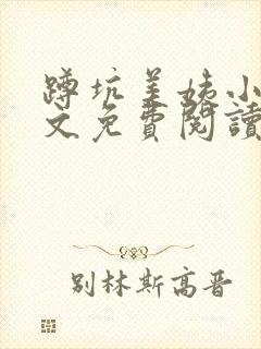 蹲坑美姨小说全文免费阅读